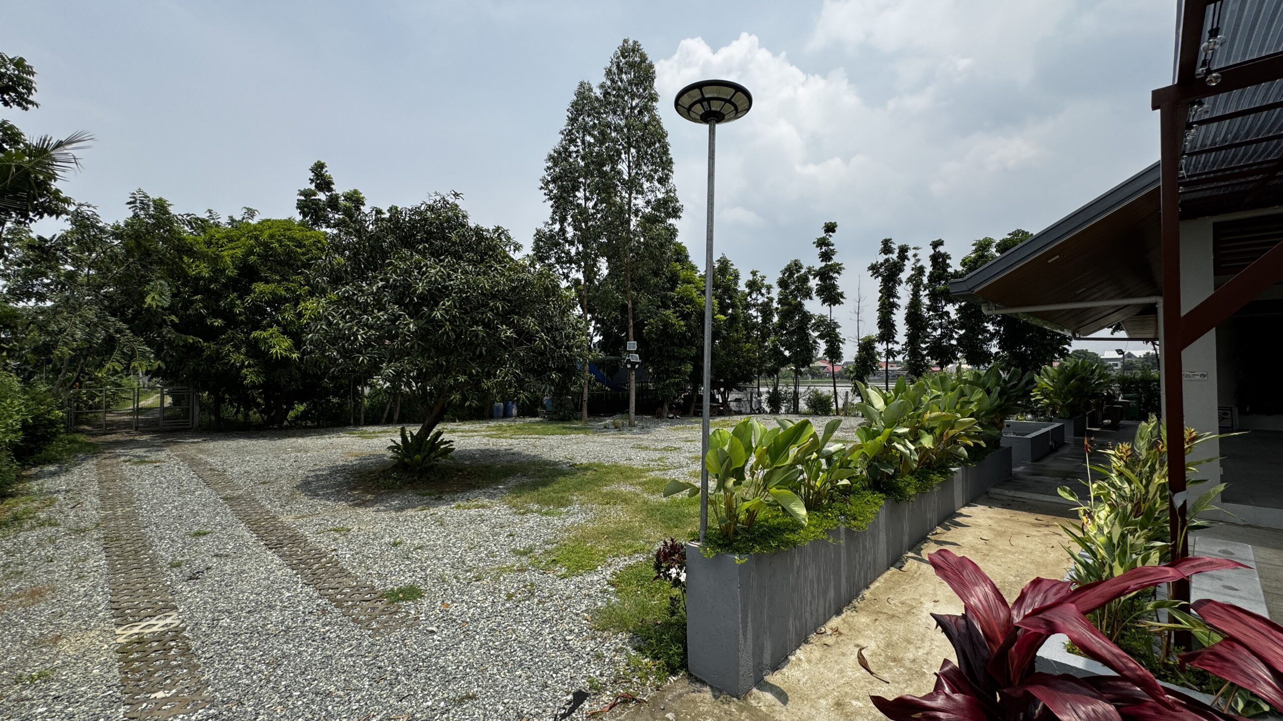 Garden path lined with tropical greenery