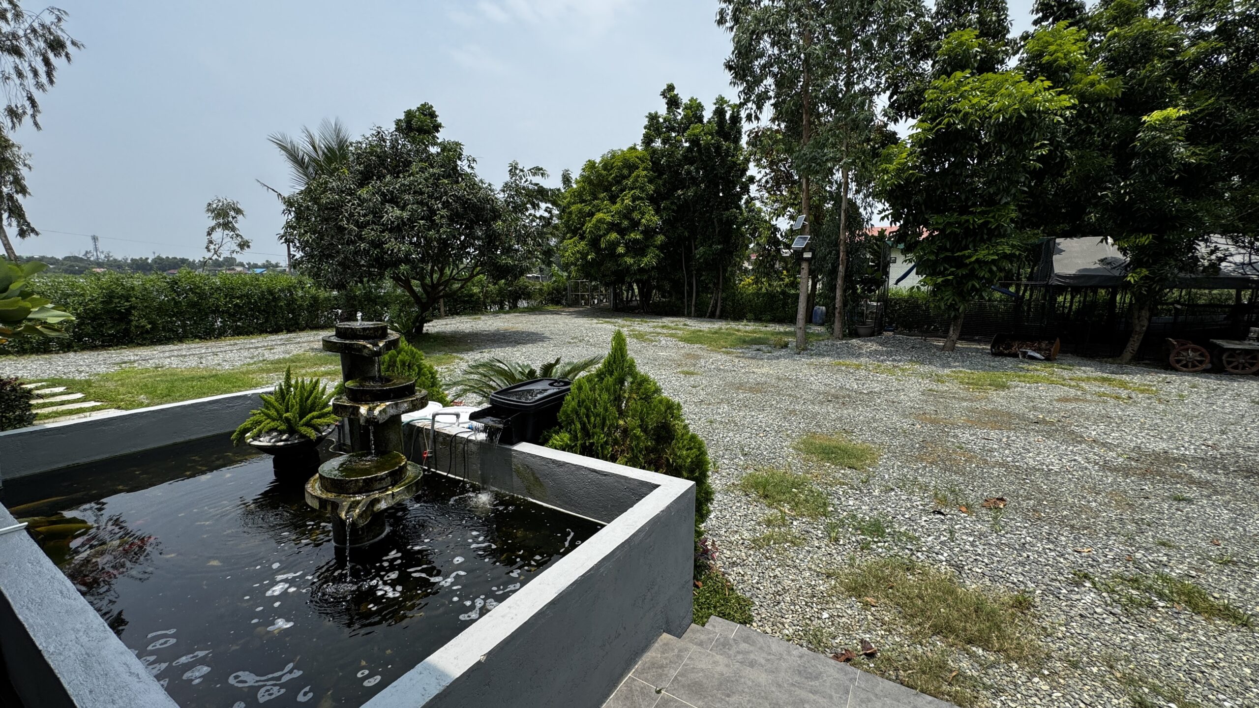 Koi pond and landscaped garden